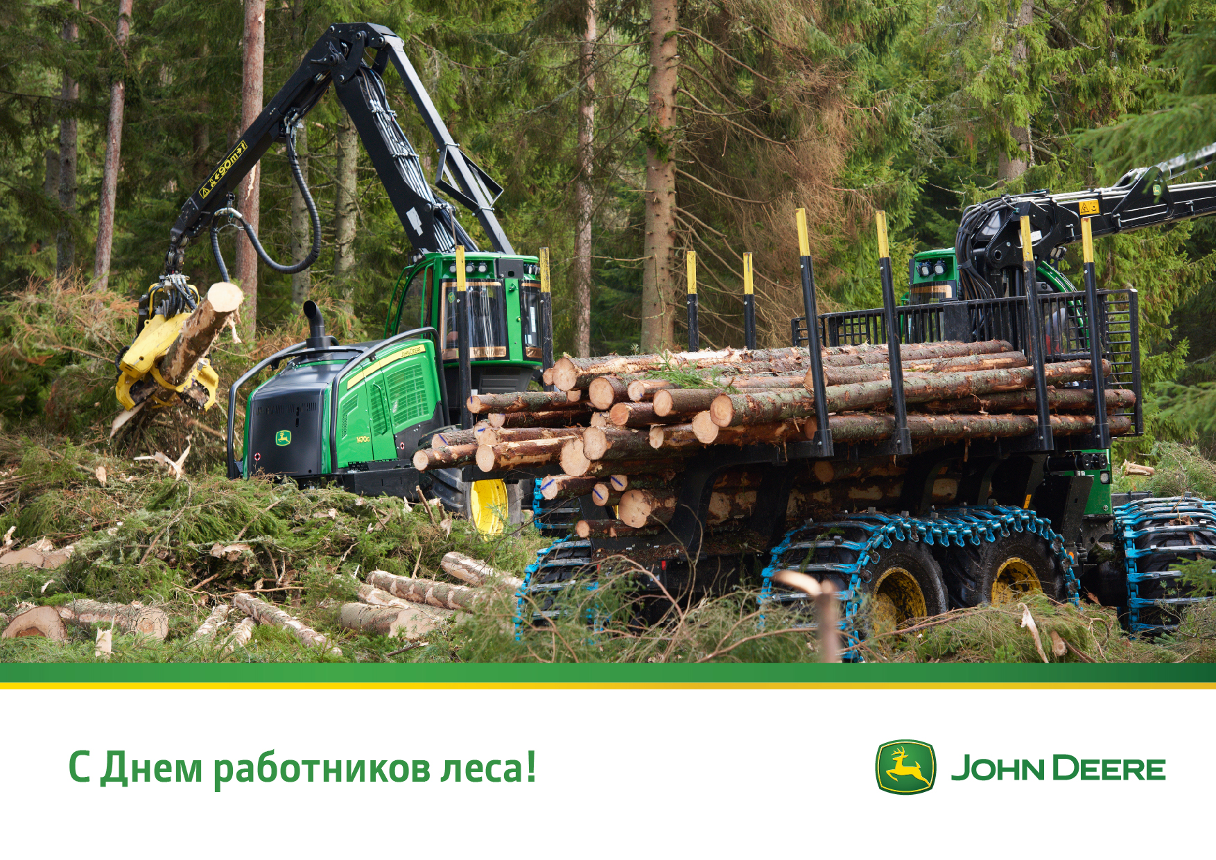 С Днем работника леса! в Новосибирске